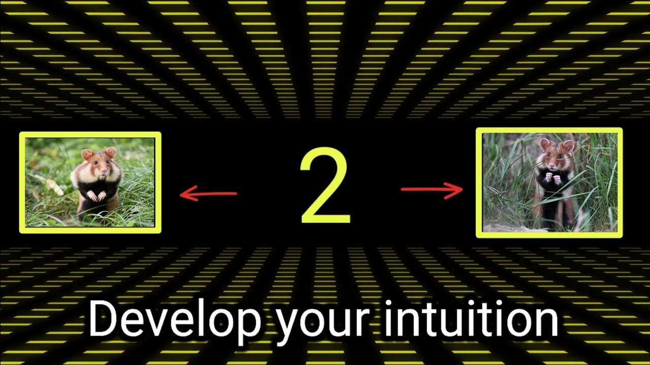 Just look and guess.