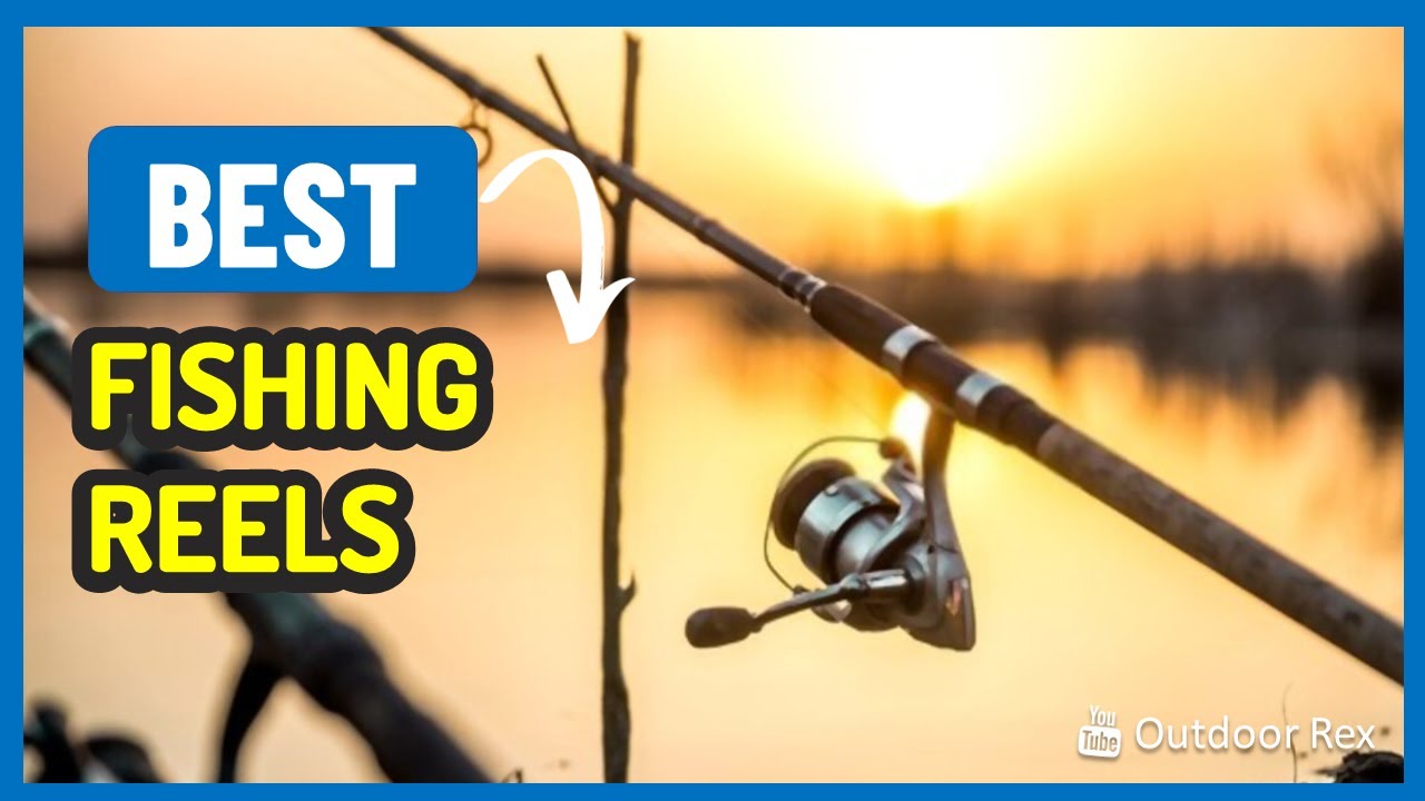 Top 5 Best Fishing Reels YouTube