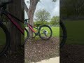 New bike