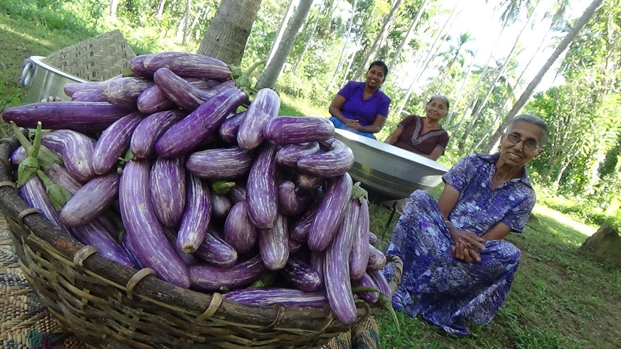 Eggplant Fingers Eggplant (Brinjal) Fry Recipe by Grandma and Family