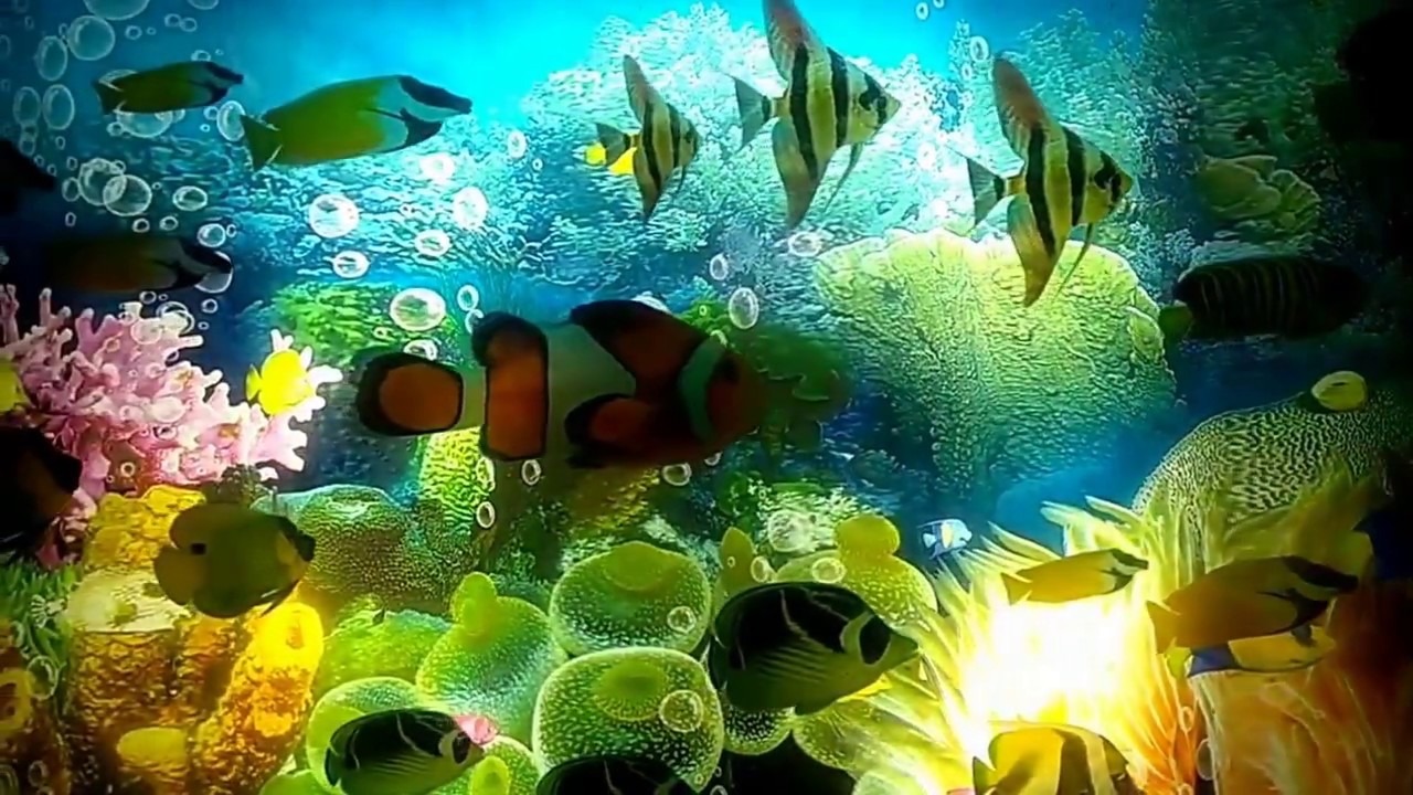 Artificial Aquarium for Relaxation (Musical) (720p HD) YouTube