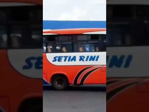 bus setia rini