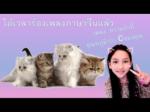 ได้เวลาร้องเพลงภาษาจีน (ส่งการบ้าน🤣) by:123 barbie channel 