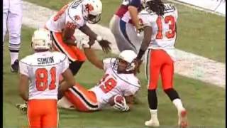 2009-11-22 CFL Eastern Final B C  LIons vs Montreal Alouettes
