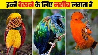 दुनिया के सबसे दुर्लभ पक्षी | Top 10 Rarest Birds in the World
