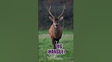 Critically Endangered Species in India - Part 2 #critically_endangered  #upsc #iucn