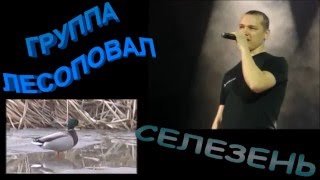 Video thumbnail of "Гр. ЛЕСОПОВАЛ  - СЕЛЕЗЕНЬ"