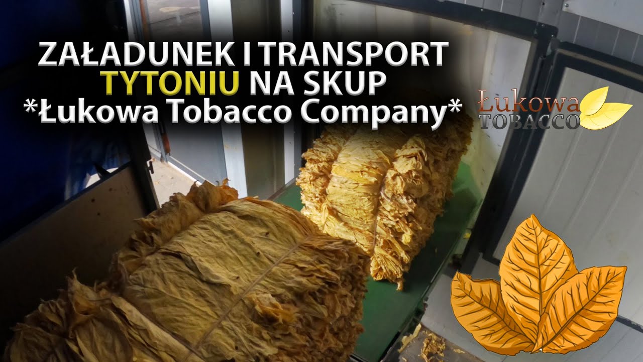ZAŁADUNEK I TRANSPORT TYTONIU NA SKUP *ŁUKOWA TOBACCO*