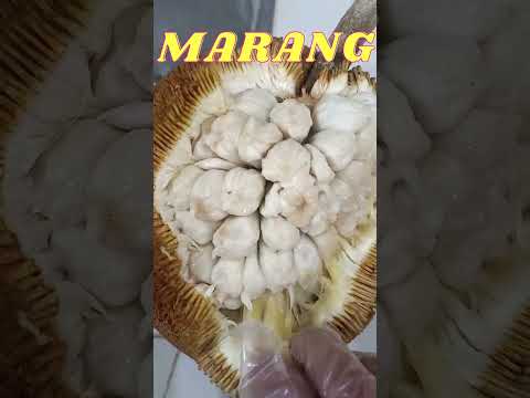 Video: Durian ay isang maharlikang prutas