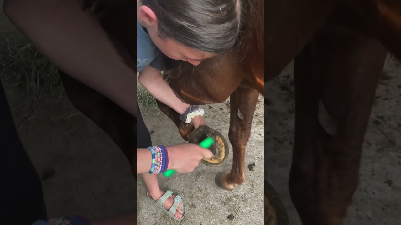 Raising Nature's Caretakers