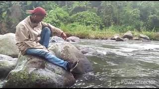 Lagu biarla ku berhayal tinggi