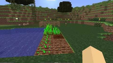 Procedural Rhetoric and Minecraft