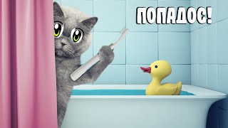 МОЕМ КОТА НЕВЗНАЧАЙ - 33 Котёнка Как Помыть Кота | How To Bathe the Cat 33 Kotenka