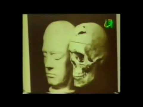 الاعجاز العلمي في الناضية الشيخ الزنداني
