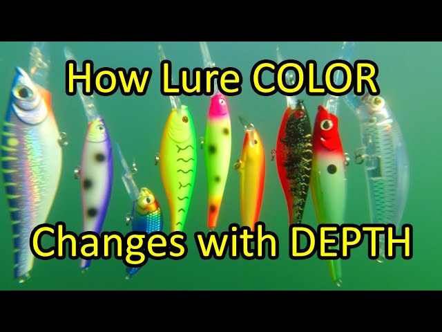 How to Choose the Right Fishing Lure Color