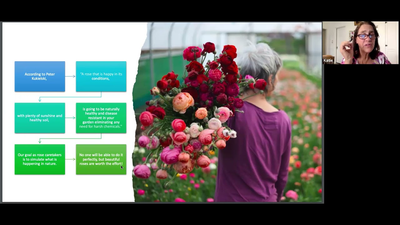 The Sustainable Rose Garden