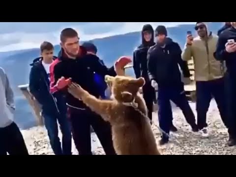 Khabib🦅Vs Russian Bear 🐻 #subcribe