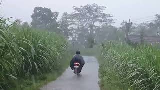 Heavy Rain and Thrilling Thunderstorms in Village Life | Walk In A Terible Rainstorm | Rain