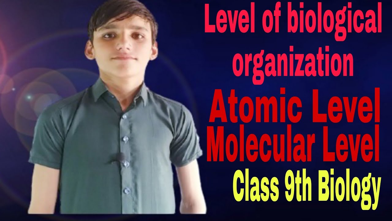 Level of biological organization part 1 Sub Atomic particle and Atom and molecular Level Class 9th