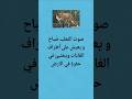 معلومة مدهشة عن الثعالب الجزء ٨ كراسة المعرفة معلومات الحيوانات الثعلب