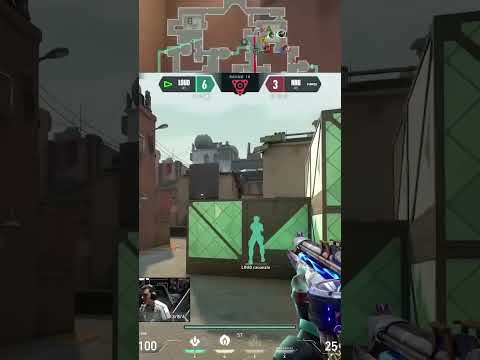 NRG CRASHIES KEEP