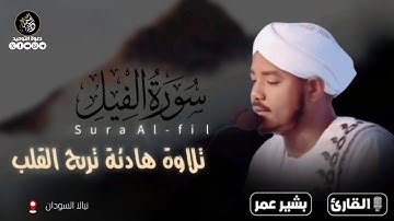 تلاوة هادئة تريح القلب من سورة الفيل الشيخ بشير عمر سليمان حفظه الله 🇸🇩