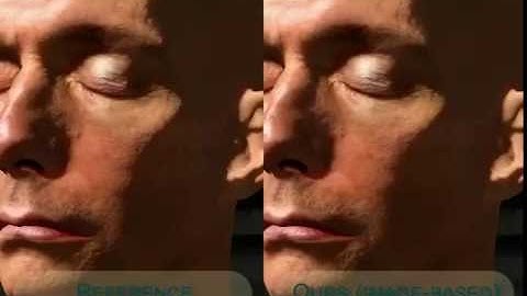 Image-space bidirectional scene reprojection (SIGGRAPH Asia 2011)