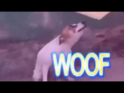 dancing-brazil-dog-meme