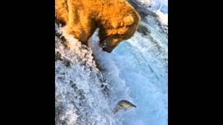 George Botsford : The Grizzly Bear Rag. Michel Cardinaux, piano.avi