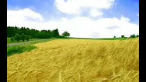 سورة لقمان بصوت الشيخ عبدالعزيز الاحمد