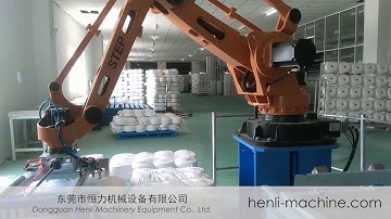 Palletizing Robot SP120 for bag Stacking  production line