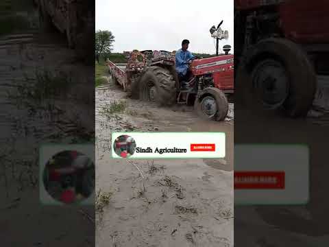Massey foreguson 385 stuck in water and 480S power pullout it