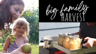 Food Preservation Day for a Big Family by This Ohio Farmhouse 210 views 1 year ago 10 minutes, 34 seconds