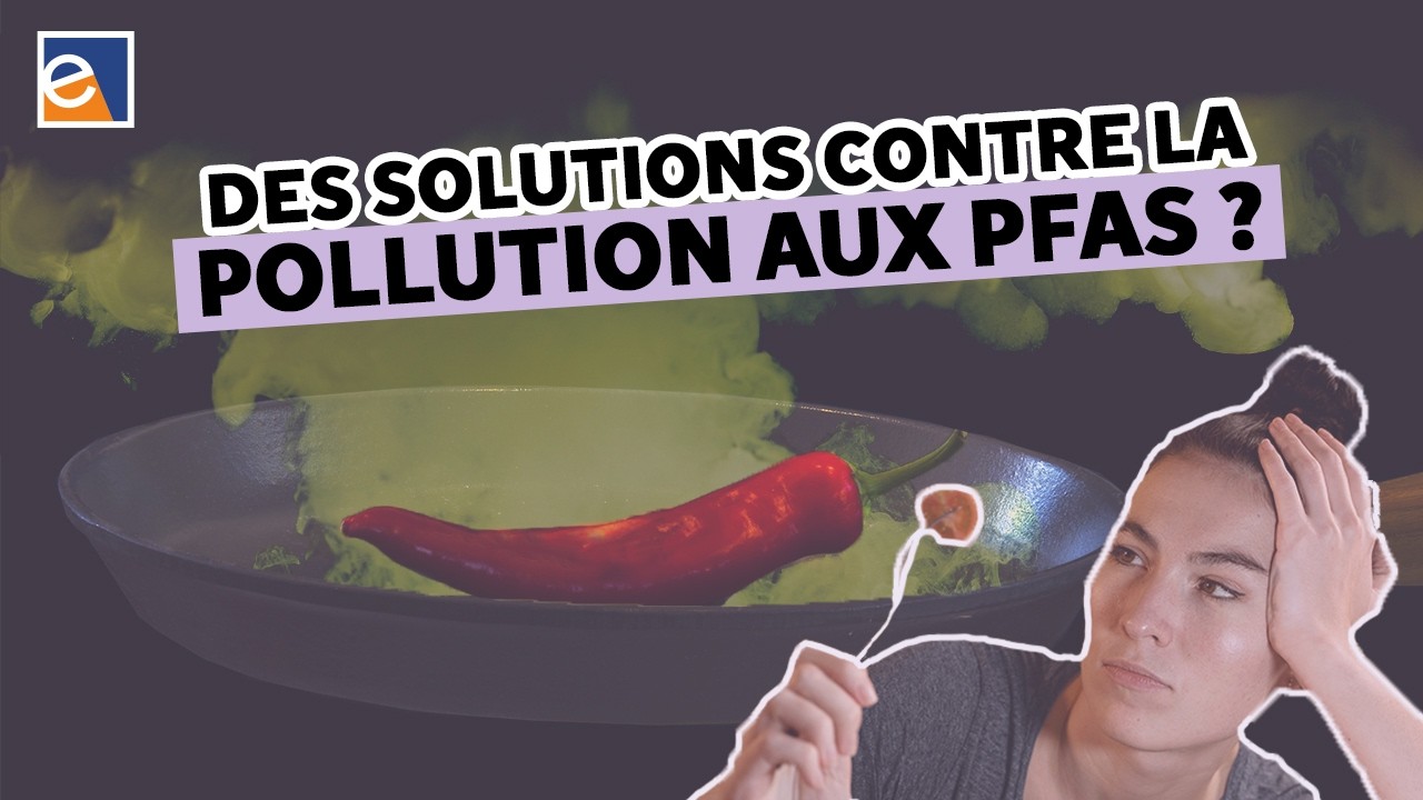 Pollution aux PFAS : comprendre, évaluer, agir