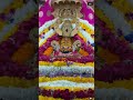 #viral #funny #ytshorts #jaishreeshyam #shortvideos #reels #love #comedy #video #live #officalvideo