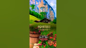 🌼سورة الأعلى 🌼 #قران_كريم #اكسبلور #اسمعنا #لايك #ترند #دويتو #duet #راحة_نفسية