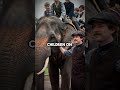 This Elephant Literally Created the Word "Jumbo" - His Story Will Break Your Heart