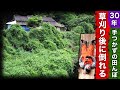 【熱中症？】30年手つかずの田んぼの草刈り後に倒れる【限界集落で無職になる＃2】