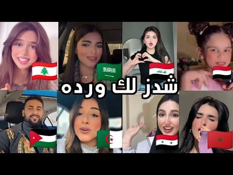كوتو موتو من غناها بشكل أفضل 