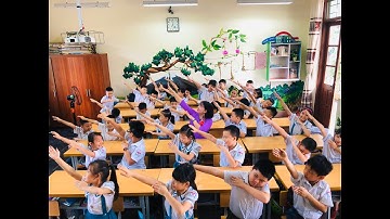 Nhớ mãi lớp 2b - Trường Tiểu học Mạo Khê A