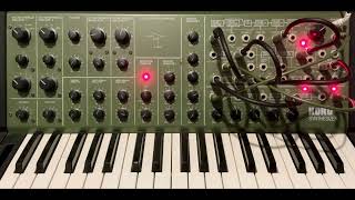 Korg Ms-20 Feb 28 26 Self-Playing Patch