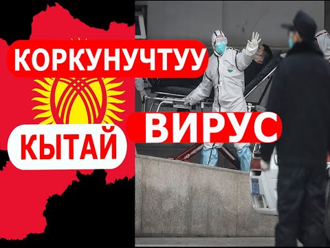 Video: Кантип вирусту толук текшерүүдөн өткөрүү керек