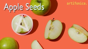 Apple Seeds (iOS, Berlin/Ambient) - Live Recording