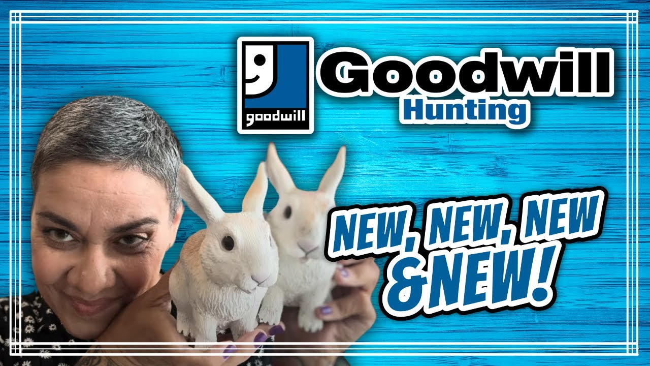 NEW Goodwill Haul *** YOU WONT BELIEVE WHAT I FOUND! SO MANY OF MY NEW Goodwill Haul *** YOU WONT BELIEVE WHAT I FOUND! SO MANY OF MY
