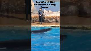 👨🏻🎓SeaWorld Did Scientists a Big Favor!