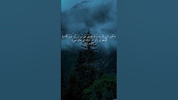 من سورة الزمر ماهر المعيقلي #اسلام #مسلم #توبة #التوبة #قرآن #قران_كريم