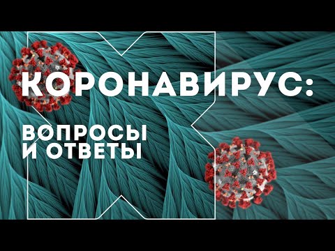 Как протекает коронавирус — рубрика «Коронавирус: вопросы и ответы»