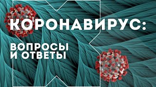 Как протекает коронавирус — рубрика «Коронавирус: вопросы и ответы»