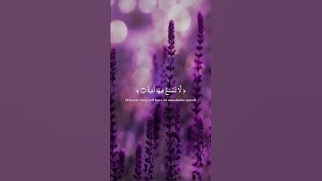 فِي جَنَّةٍ عَالِيَةٖ | ما تيسرَ من سورة الغاشية بصوت القارئ أحمد خضر | تلاوة خاشعة