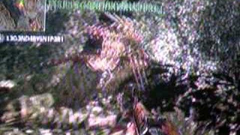 Call of duty world at war dummy glitch